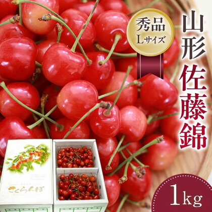 【さくらんぼ令和6年6月発送】山形県 佐藤錦 500g×2パック箱入り合計1kg FSY-1155