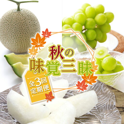 【ふるさと納税】《先行予約 2025年度発送》 秋の味覚三昧 3回定期便 青肉メロン メロン 青肉 デザート フルーツ 果物 くだもの 果実 食品 山形県 FSY-1164 【ふるさと納税】《先行予約 2025年度発送》 秋の味覚三昧 3回定期便 青肉メロン メロン 青肉 デザート フルーツ 果物 くだもの 果実 食品 山形県 FSY-1164