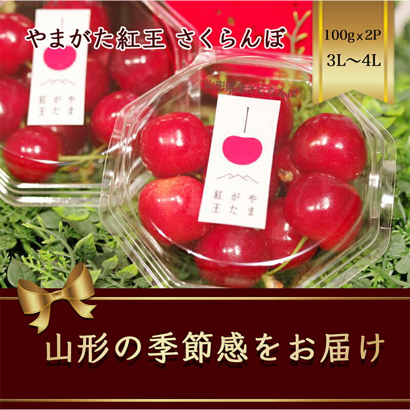 やまがた紅王 さくらんぼ 3L〜4L100g×2パック入 [2024年6月から発送]