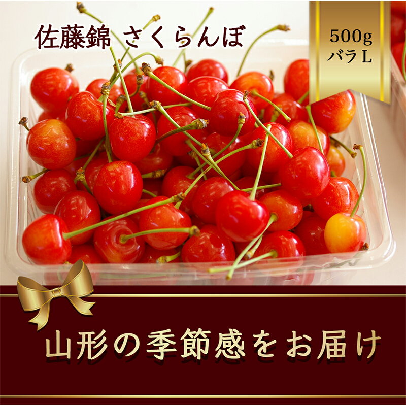 ・ふるさと納税よくある質問はこちら ・寄附申込みのキャンセル、返礼品の変更・返品はできません。あらかじめご了承ください。◆魅力◆ 日本一のさくらんぼ生産量【山形県】※ ダントツの日本一全国生産量の7割以上を占めます。 それにおごることなく県内では新しい品種に取り組み、さらに美味しいさくらんぼ栽培に励んでいます。まさに「さくらんぼ県」といってもいいですね。 ※農林水産省　令和4年産おうとうの結果樹面積、10a当たり収量、収穫量及び出荷量(全国)より ◆さくらんぼのルーツ◆ さくらんぼ(桜桃)の原産は西南アジアで、ヨーロッパ・アメリカ大陸に広まり、日本には明治に入ってからです。 皆さんご存じ「佐藤錦」は山形県東根市で誕生しました。 佐藤栄助さんが「ナポレオン」という品種と、「黄玉」という品種を掛け合わせて改良して昭和初期に完成しました。 その後、さくらんぼは年々栽培量を増やし続け、いくつもの品種が生まれ、生産高・品種ともに圧倒的の差で全国第一位に!現在では初夏の果物といえばさくらんぼといわれるようになりました。 ◆美味しいさくらんぼに生るまでに…◆ 山形では雪が降るために、雪の重さで枝が折れないように農家の方は雪下ろしなどをし、春に備えます。 3月下旬ぐらいから、つぼみが出始め、大きく・美味しく実が生る様に、必要のない枝を切り落としたり、余分な実をとります。受粉は人手と蜂によりされ大変手間がかかります。 さくらんぼの敵は雨と害虫です。さくらんぼにたくさん雨が当たると病気になりやすい為、雨よけテントを張り、周りにはネットなどを張り、鳥の被害から守ります。 さくらんぼの色つきをよくする為、木の下に反射シートを敷き、日光の反射を利用して、色づきをよくするよう工夫されています。 そうして大事に管理され、収穫するときは一粒・一粒、色・艶・大きさをチェックされて出荷されます。 ◆おすすめの食べ方 生食がお勧めです。 ◆おすすめの用途 御中元等のご贈答用品にも。ご家族・ご友人と。 ◆保存方法 冷蔵で保管してください。 ※画像はイメージです。 ※パッケージが変更になる場合がございます。 ※長期不在により荷物が受け取れなかった場合、返礼品の再送はできません。 ※品質管理上、沖縄県・離島への配送はお断りしております。 【株式会社 浜中屋】 創業約 60 年「浜中屋」山形県鶴岡市の果物専門店。 数ある農家さん・地域を厳選した規格・等級で、山形の季節感をお届けします。 商品説明 さくらんぼ 佐藤錦 500g×1パック Lサイズ バラ詰め【2024年6月発送】 内容量：500g×1パック Lサイズ ※粒数・サイズ指定はできません 産地：山形県 消費期限：到着してから5日 ※農産物により期限は目安となります。なるべく早くお召し上がりください。 ※配達指定日はお受けできません。 保存方法：冷蔵で保管してください。 発送期日：2024年6月上旬頃～7月上旬頃 ※収穫状況・天候等により配送時期が前後する場合もあります。 配送方法：冷蔵 事業者：株式会社 浜中屋 「ふるさと納税」寄附金は、下記の事業を推進する資金として活用してまいります。 寄附を希望される皆さまの想いでお選びください。 1. 次代を担い地域を支える人材の育成・確保 2. 競争力のある力強い農林水産業の振興・活性化 3. 高い付加価値を創出する産業経済の振興・活性化 4. 県民が安全・安心を実感し、総活躍できる社会づくり 5. 未来に向けた発展基盤となる県土の整備・活用 6. 自治体におまかせ 申請書を受領証明書と一緒にお送りしますので、必要情報を記載の上、返信用封筒に切手を貼付いただきご返送ください。 入金確認後、注文内容確認画面の【注文者情報】に記載の住所に45日以内に発送いたします。(年末年始を除く)