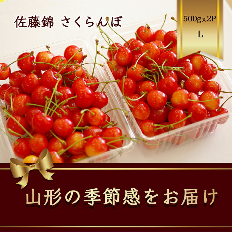 【ふるさと納税】 さくらんぼ 佐藤錦 500g×2パック Lサイズ バラ詰め【2024年6月発送】FSY-1169