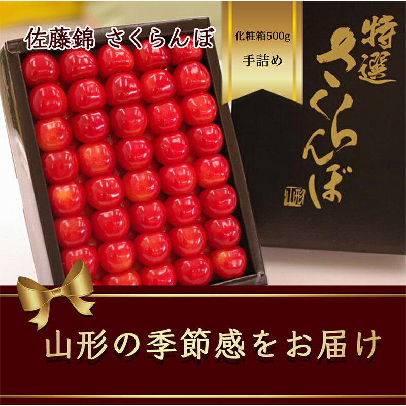 【ふるさと納税】 さくらんぼ 佐藤錦 500g×1箱 2段手詰め 化粧箱【2024年6月発送】 FSY-1172