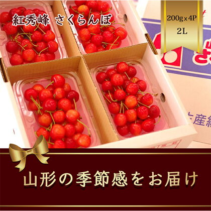 さくらんぼ 紅秀峰 200g×4パック 2Lサイズ【2024年6月下旬から発送】 FSY-1173