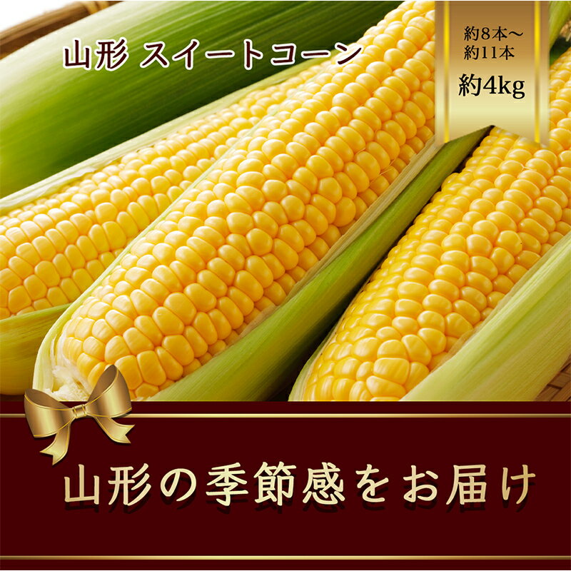 【ふるさと納税】山形県産 スイートコーン 約8本~約11本 約4kg 【2025年8月から発送】 とうきび トウキビ とうもろこし トウモロコシ コーン 野菜 食品 山形県 FSY-1183