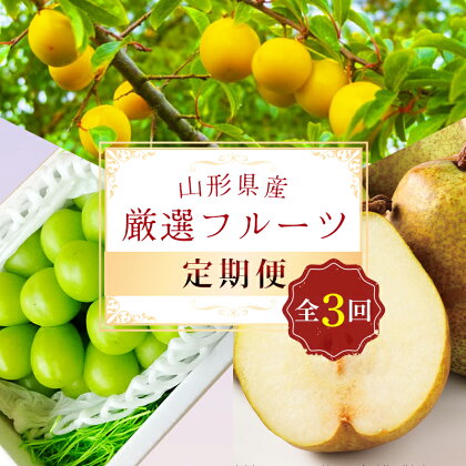 ≪先行予約 2024年8月発送開始≫ 山形県の至高！ 山形県厳選 フルーツ定期便 全3回 FSY-1194