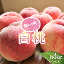 【ふるさと納税】 《2025年産先行受付》 山形県産 白桃 秀品 約3kg 品種おまかせ 硬めの桃 あまり柔らかくならない桃 もも モモ 桃 デザート フルーツ 果物 くだもの 果実 食品 山形県 FSY-1195