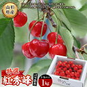 【ふるさと納税】 《先行予約 2025年度発送》紅秀峰 特選バラ詰め【1kg】 FSY-1315
