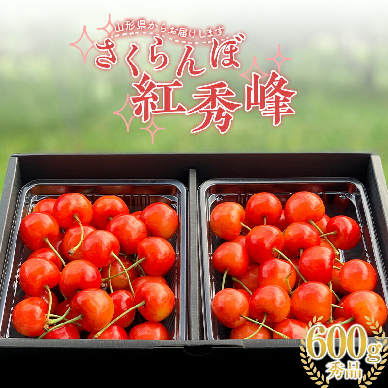 【ふるさと納税】 2024年産 さくらんぼ「紅秀峰」600g 秀品 2Lサイズ以上 山形県産 FSY-1203