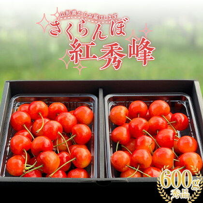 2024年産 さくらんぼ「紅秀峰」600g 秀品 2Lサイズ以上 山形県産 FSY-1203