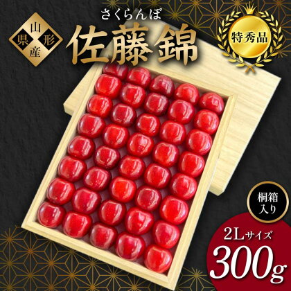 2024年産 さくらんぼ「佐藤錦」300g 特秀品 2Lサイズ ≪桐箱入り≫ 山形県産 FSY-1205