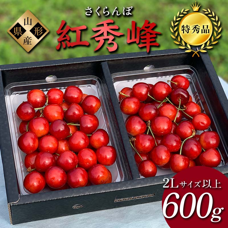 【ふるさと納税】2024年産 さくらんぼ「紅秀峰」600g 特秀品 2Lサイズ以上 山形県産 FSY-1208