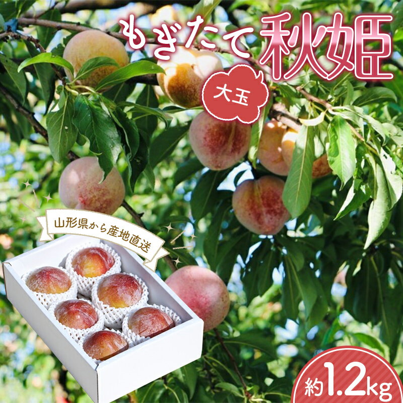 【ふるさと納税】【先行受付 令和7年度発送】山形 もぎたて大玉秋姫(すもも)約1.2kg フルーツ 果物 くだもの 果実 食品 山形県 FSY-1209