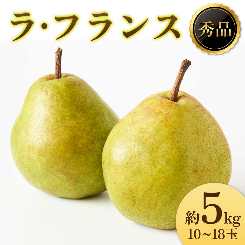 【ふるさと納税】《2025年先行受付》ラ・フランス 秀品 10~18玉 約5kg なし ナシ 梨 デザート フルーツ 果物 くだもの 果実 食品 山形県 FSY-1918