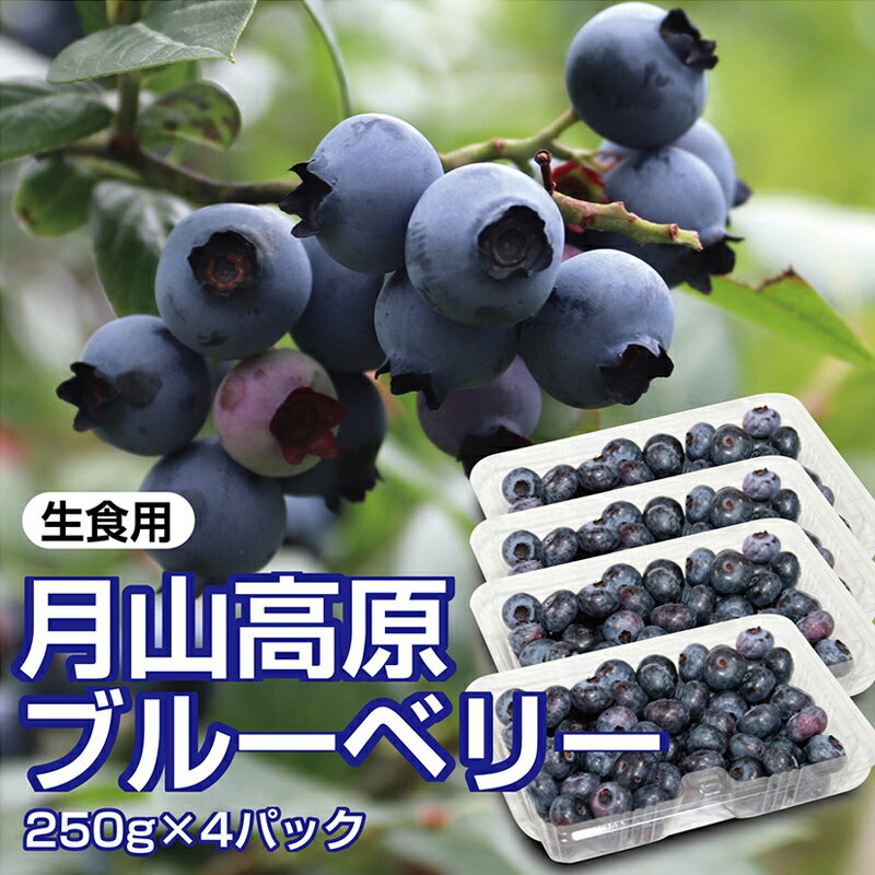 【ふるさと納税】【先行予約 2025年度発送】山形県月山高原産 大澤農園のブルーベリー 250g×4パック 計1kg 生食用 爽やかな甘酸っぱさが魅力です フルーツ 果物 くだもの 果実 食品 山形県 FSY-1223