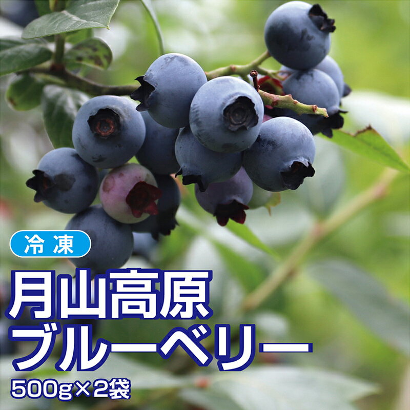 【ふるさと納税】 山形県月山高原産 大澤農園のブルーベリー 冷凍 500g×2パック 計1kg 冷凍だから使い勝手抜群 FSY-1225