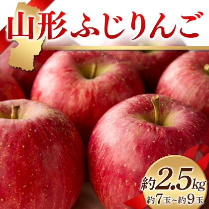 《先行予約 2024年度発送》山形ふじりんご 約2.5kg 約7玉～約9玉 FSY-1230