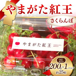 【ふるさと納税】 《先行予約 2024年度発送》やまがた紅王 さくらんぼ 2L 200g×1パック入 約25粒 FSY-1234