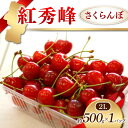 【ふるさと納税】 《先行予約 2025年度発送》紅秀峰 さくらんぼ 2L 500g×1パック入 FSY-1235
