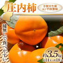 【ふるさと納税】 《先行予約 2024年度発送》庄内柿 種無しで食べやすい 刀根早生柿及び平核無柿 約3.5kg 約14～18玉 FSY-1236