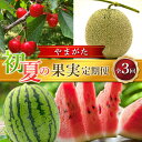 【ふるさと納税】 ≪2025年先行予約≫ 全3回 やまがた初夏の果実 定期便 FSY-1254