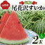 【ふるさと納税】 《先行予約 2024年度発送》山形の尾花沢すいか 2玉（Lサイズ） FSY-1268