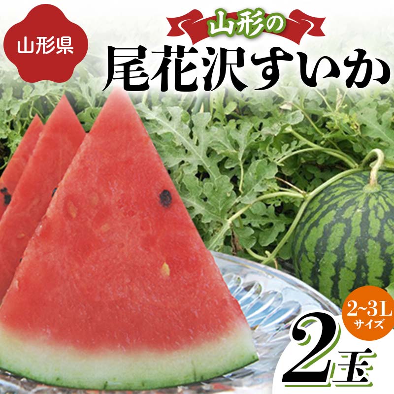 【ふるさと納税】 《先行予約 2024年度発送》山形の尾花沢すいか 2玉（2～3Lサイズ） FSY-1269