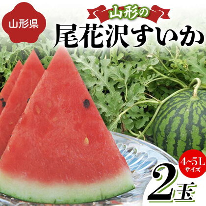 《先行予約 2024年度発送》山形の尾花沢すいか 2玉（4～5Lサイズ） FSY-1270