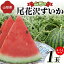 【ふるさと納税】 《先行予約 2024年度発送》山形の尾花沢すいか 1玉（4～5Lサイズ） FSY-1271