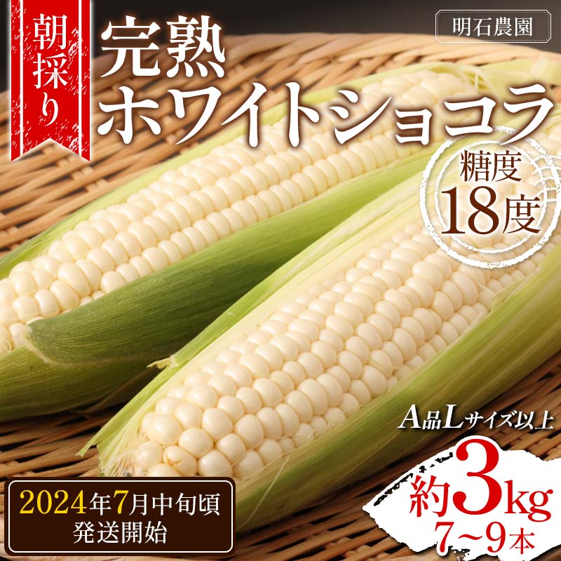 ＜朝採り＞ 完熟ホワイトショコラ 明石農園 糖度18度 約3kg とうもろこし 山形県産 A品 Lサイズ以上 《先行予約2024年度7月中旬頃発送開始》 FSY-1292