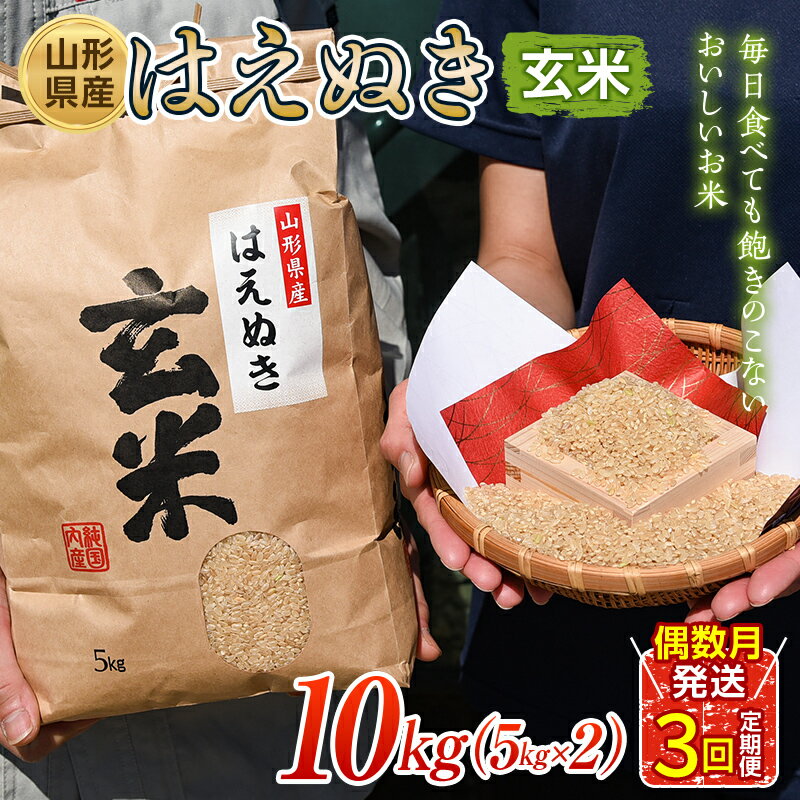 はえぬき 玄米 5kg×2 定期便3回(偶数月配送)