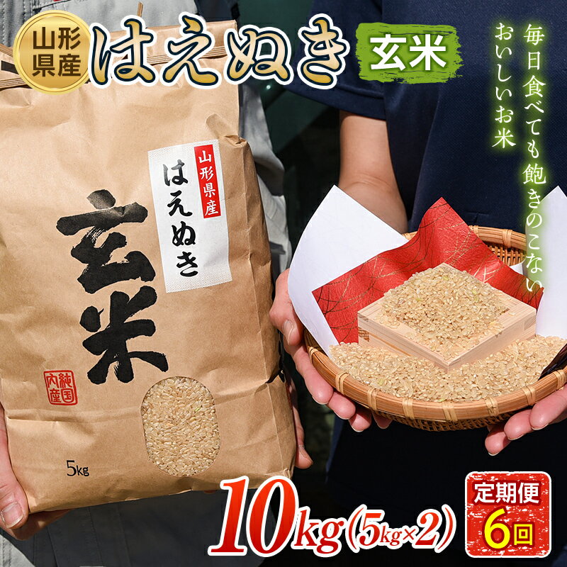 はえぬき 玄米 5kg×2 定期便6回