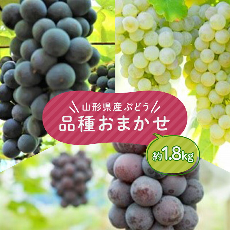 【ふるさと納税】≪2025年9月上旬頃~10月下旬頃発送≫山形県産ぶどう 品種おまかせ 約1.8kg ぶどう ブドウ 葡萄 デザート フルーツ 果物 くだもの 果実 食品 山形県 FSY-1321