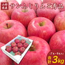 【ふるさと納税】 【先行予約2025年度発送】山形県産 りんご「サンふじ」大玉 3kg(秀品・約7~9玉) りんご リンゴ 林檎 デザート フルーツ 果物 くだもの 果実 食品 山形県 FSY-1325