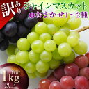 【ふるさと納税】 【先行予約2025年度発送】山形県産 訳あり ぶどう(品種おまかせ)計1kg マスカット ぶどう ブドウ 葡萄 デザート フルーツ 果物 くだ...