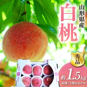 【ふるさと納税】 《2025年先行予約》 山形県産 白桃 品数・玉数おまかせ 秀品 約1.5kg FSY-2018