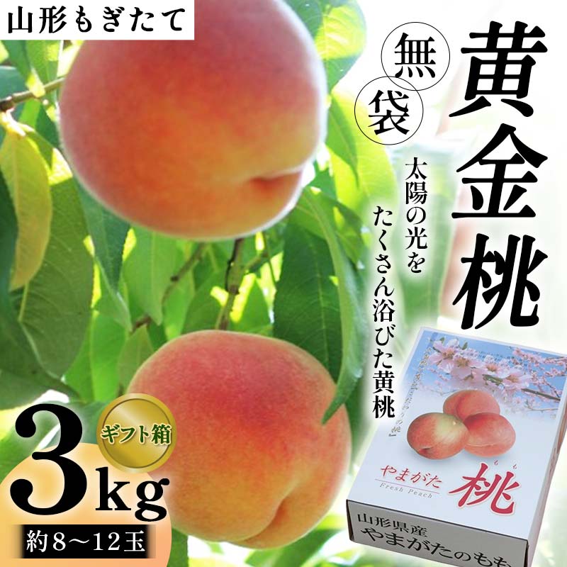 【ふるさと納税】【先行受付(令和7年度発送)】山形もぎたて『黄金桃』(無袋)3kg ギフト箱入り FSY-2034
