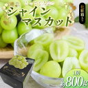 【ふるさと納税】 《先行予約 令和7年度発送》 【贈答用】とっても人気の『シャインマスカット』 1房 化粧箱入り FSY-2056(4)