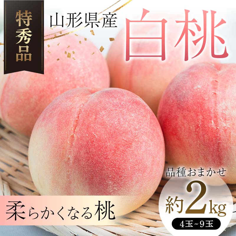 【ふるさと納税】 【令和7年産 先行受付】山形県産 白桃 約2kg 品種おまかせ 特秀品 柔らかくなる桃 もも 果物 フルーツ FSY-2060