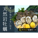 【ふるさと納税】庄内浜 天然岩牡蠣 大サイズ 10個 牡蠣剥き用ナイフ付き FSY-2101