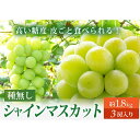 【ふるさと納税】【令和7年先行受付】シャインマスカット 約1.8kg(3房) ぶどう 果物 フルーツ FSY-2107