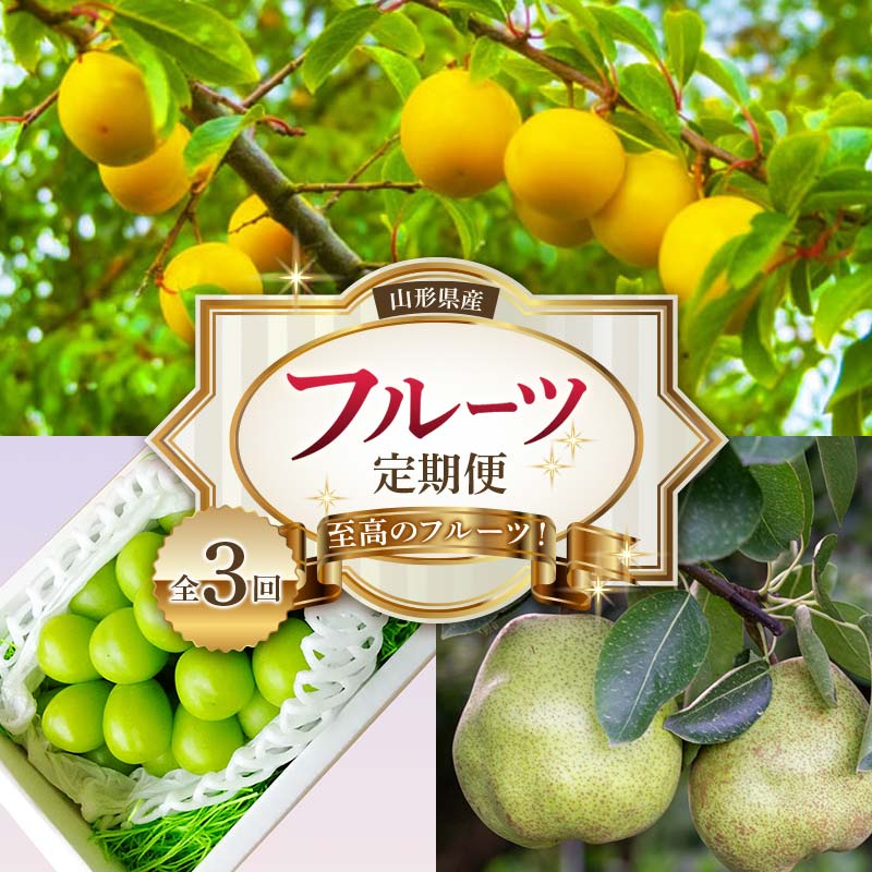 [2025年産 先行予約]山形県 至高のフルーツ! 山形県産 フルーツ定期便 全3回