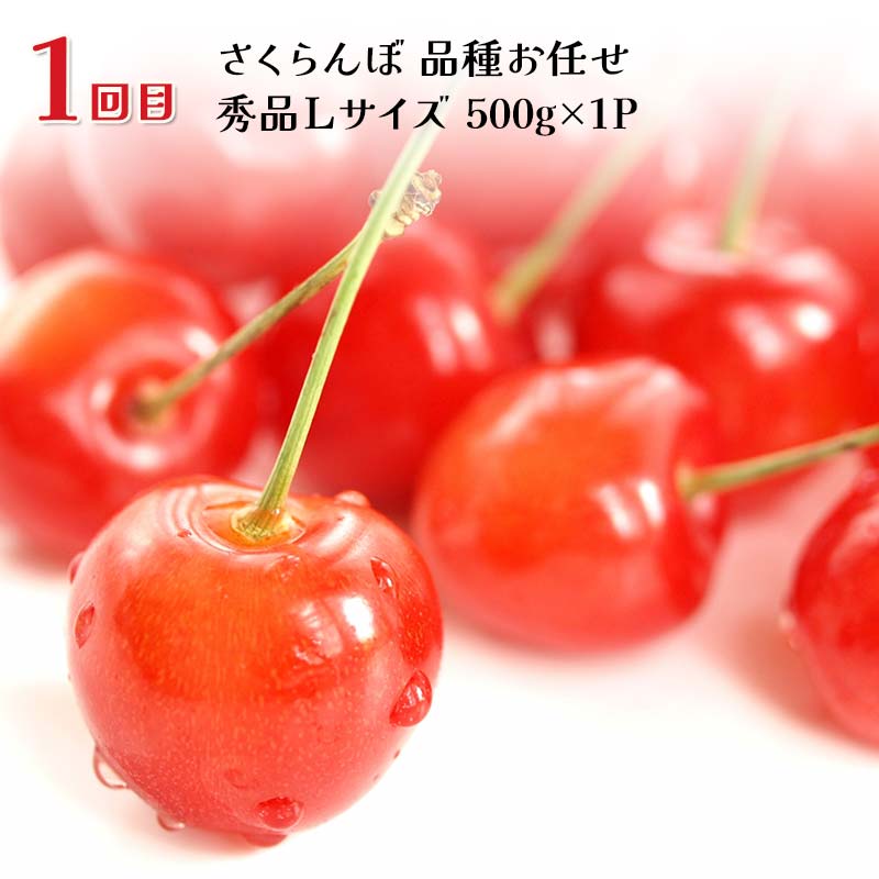 【ふるさと納税】【2025年先行予約】季節のフルーツお楽しみ定期便（全3回） FSY-2172
