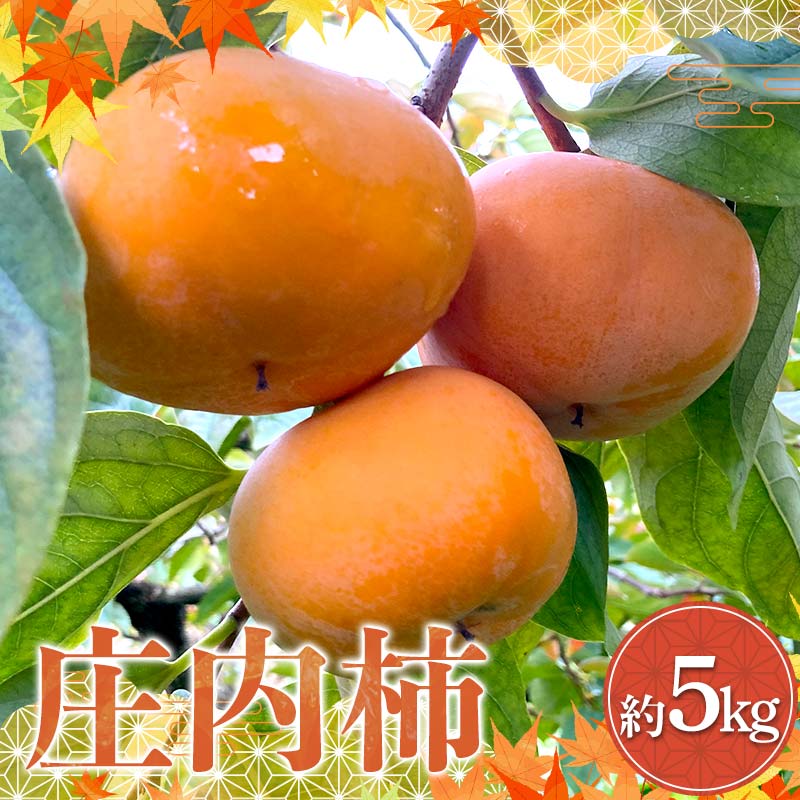 【ふるさと納税】《先行予約 令和7年度産》 厳選 庄内柿 約5kg FSY-2177