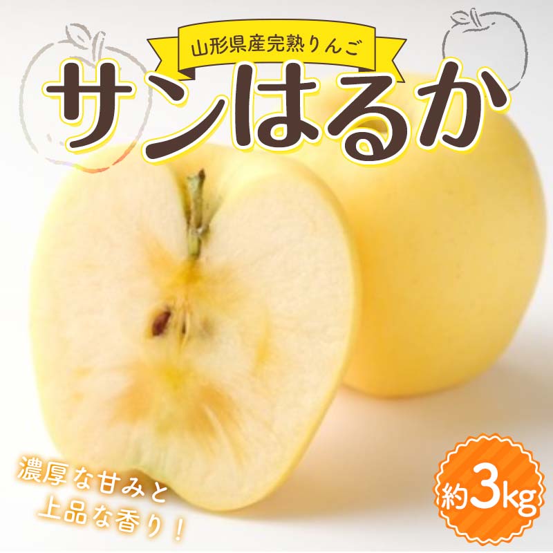 【ふるさと納税】山形県産 厳選完熟りんご 『サンはるか』(無袋栽培) 秀品 約3kg化粧箱(7~12玉入り)《先行受付2025年度12月発送》 FSY-2184