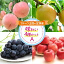 【ふるさと納税】 フルーツ王国の味わい4種セットA FSY-2218