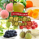 【ふるさと納税】 フルーツ王国山形からの贈り物 〜豊穣の恵み7種セット〜 FSY-2221