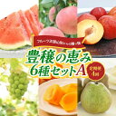 【ふるさと納税】 フルーツ王国山形からの贈り物 〜豊穣の恵み6種セットA〜 FSY-2222