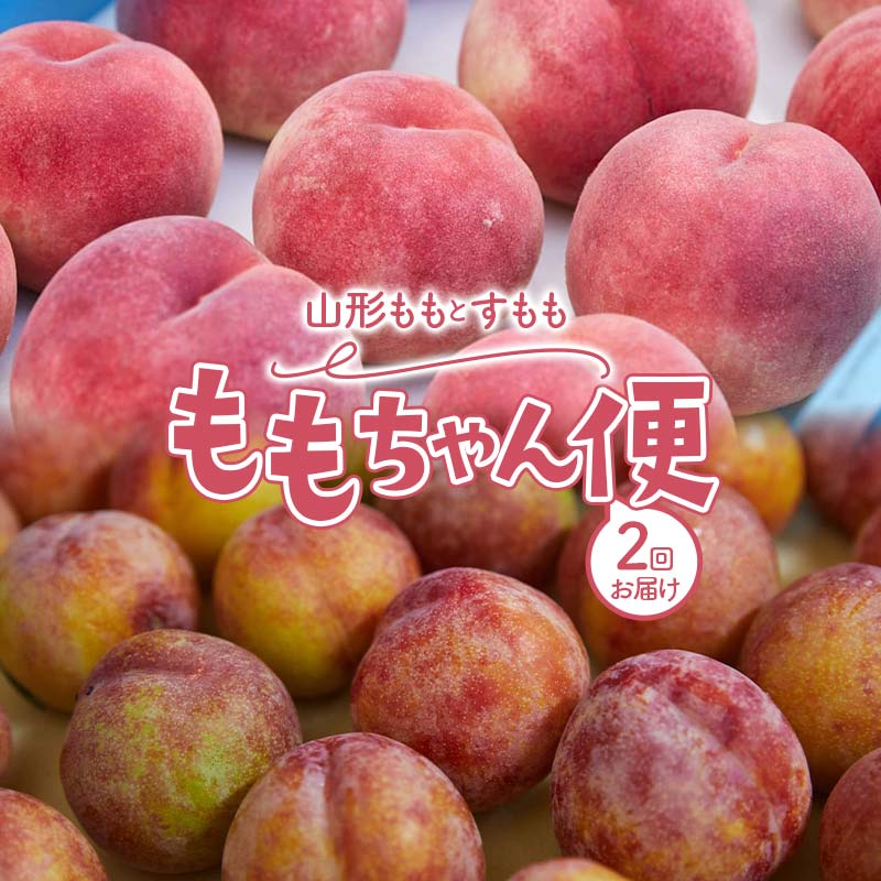 【ふるさと納税】 山形 ももとすももの ももちゃん便 FSY-2243