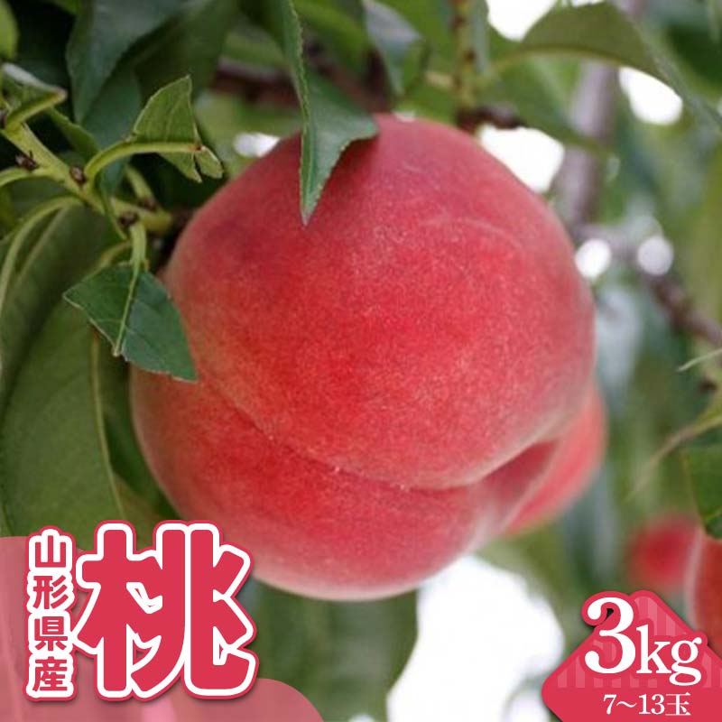 【ふるさと納税】 山形県産 桃 3kg（7～13玉） FSY-2298のサムネイル