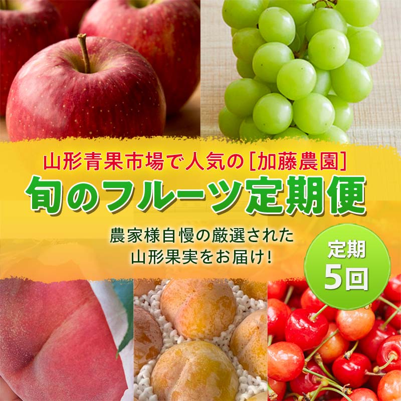[先行予約 2026年度発送]≪定期5回≫山形青果市場で人気の[加藤農園]旬のフルーツ定期便